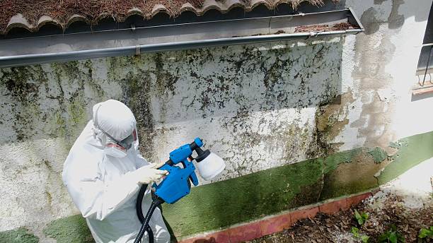 Trusted Commercial Mold Remediation service in Mount Arlington, NJ - Cheap Mold Removal